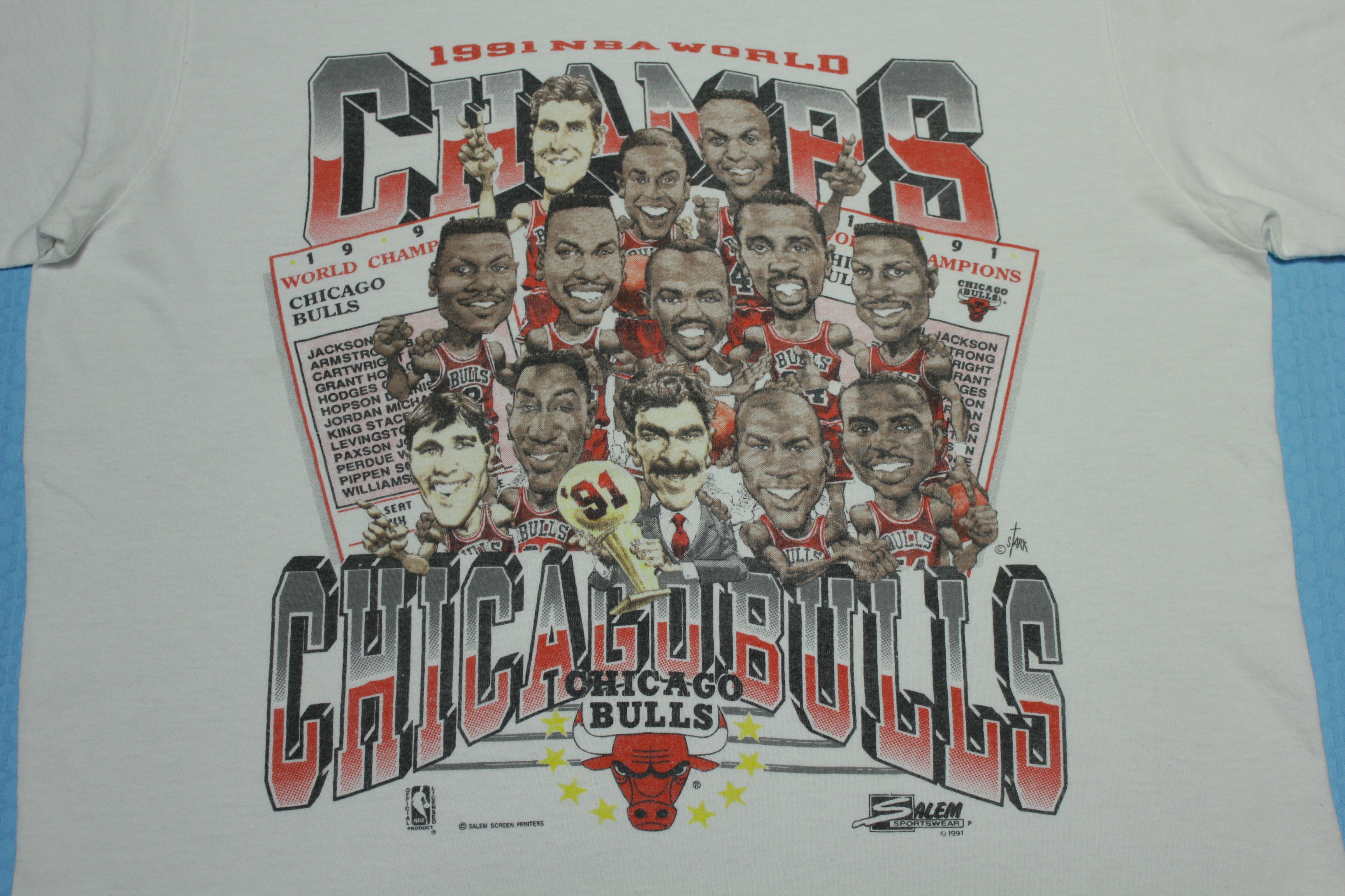 Chicago Bulls Vintage 1991 Champions Jordan Pippen Phil Jackson Salem USA T-Shirt