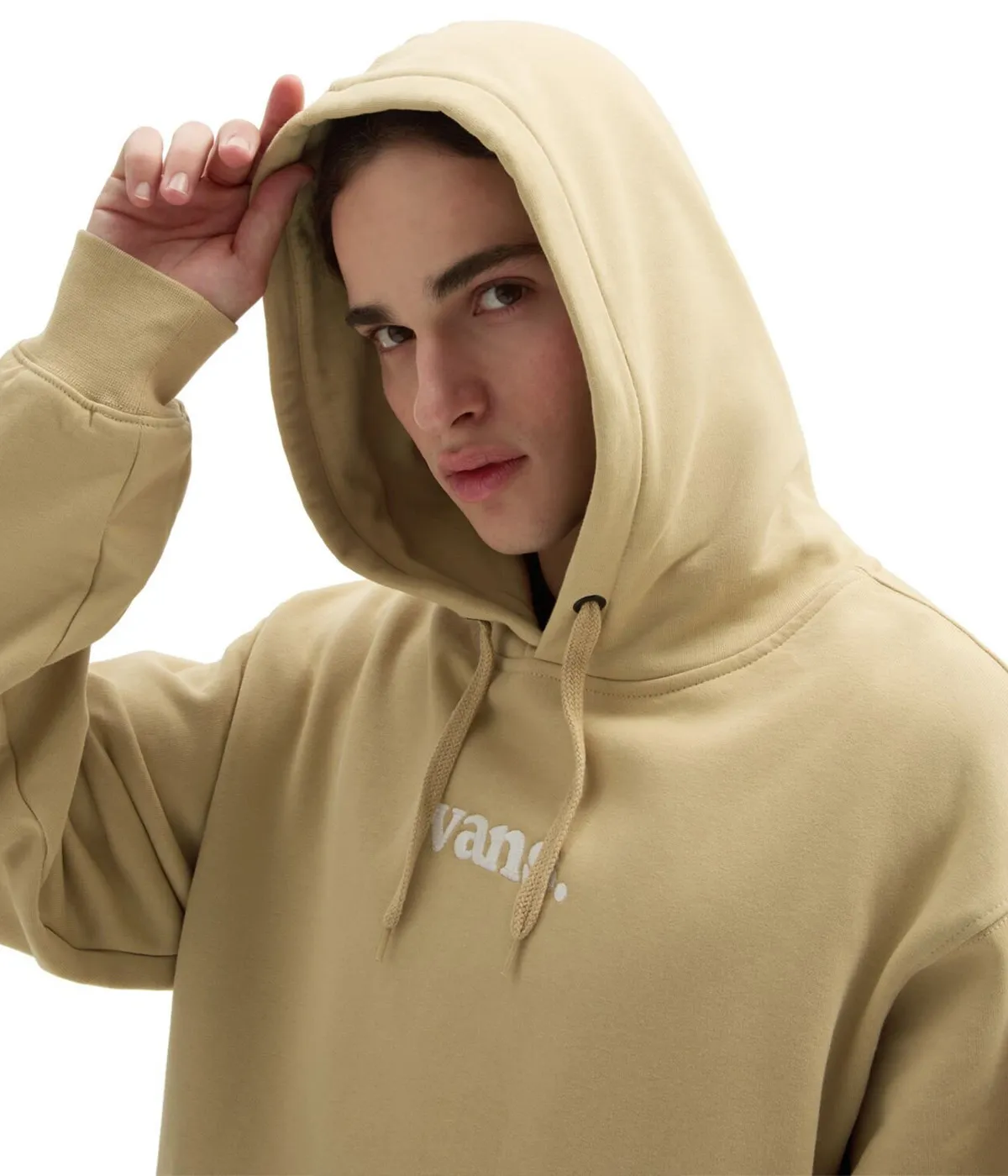 Vans  Lowered Loose Hoodie